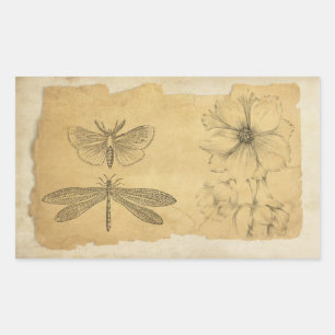 Vintage Parchment Collage Scrapbook Rectangular Sticker