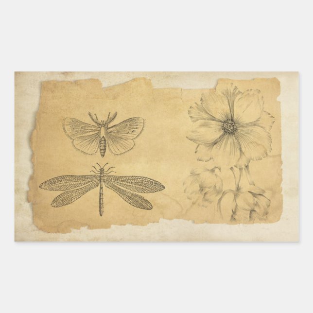 Vintage Parchment Collage Scrapbook Rectangular Sticker (Front)