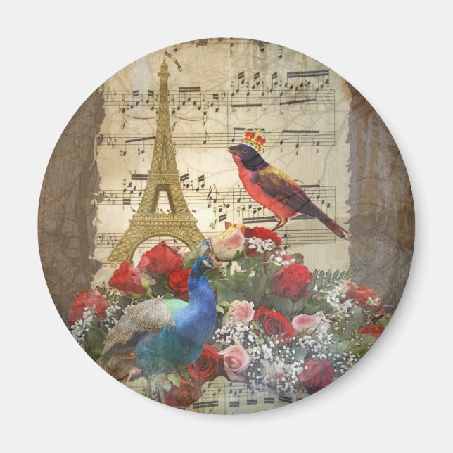 Vintage Paris & bird music sheet collage Magnet (Front)