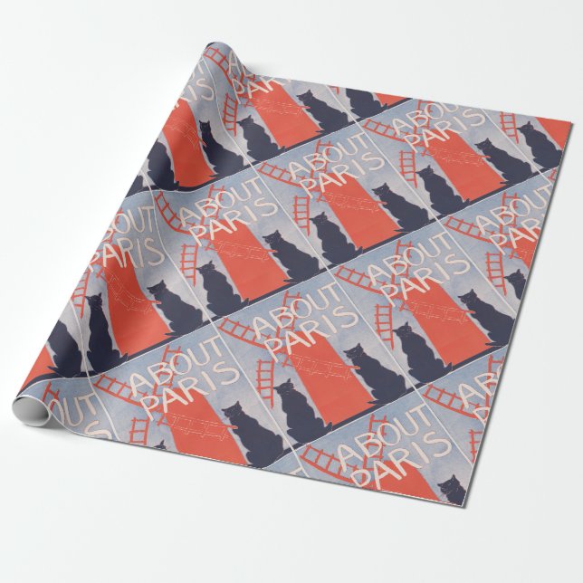 Vintage Paris Book Cover Wrapping Paper (Unrolled)