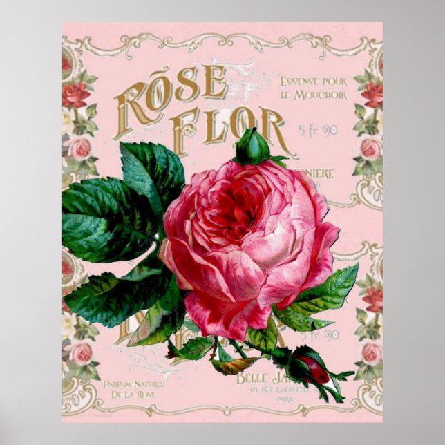 Vintage Paris Pink Rose Fashion, pretty floral art Poster (Front)
