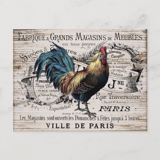 Vintage Paris rooster country postcard (Front)