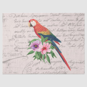 Vintage Parrot Ara Canga Floral Ephemera Decoupage Tissue Paper