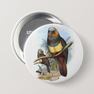 Vintage Parrot Bird PE_GC - Round Button