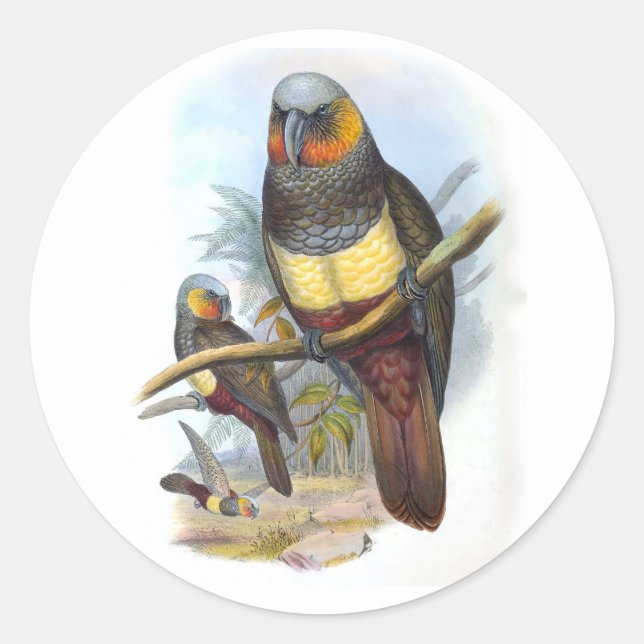 Vintage Parrot Bird PE_GC - Sticker (Front)