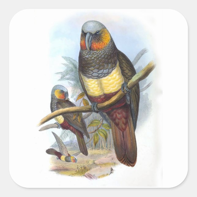 Vintage Parrot Bird PE_GC - Sticker (Front)