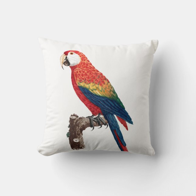 Vintage Parrot - Birds Old Illustration Art Cushion (Front)