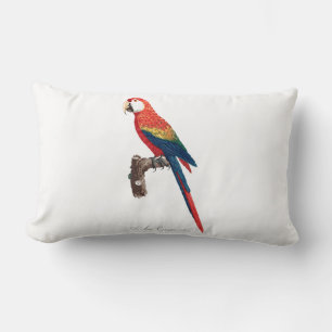 Vintage Parrot - Birds Old Illustration Art Lumbar Cushion