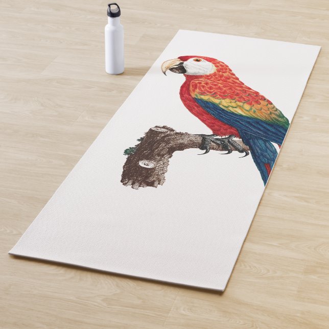 Vintage Parrot - Birds Old Illustration Art Yoga Mat (In Situ)