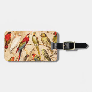 Vintage Parrot Cockatoo Conure Parakeet Cockatiel Luggage Tag