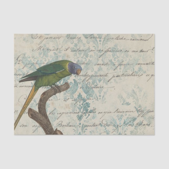 Vintage Parrot Tissue Paper (Front)
