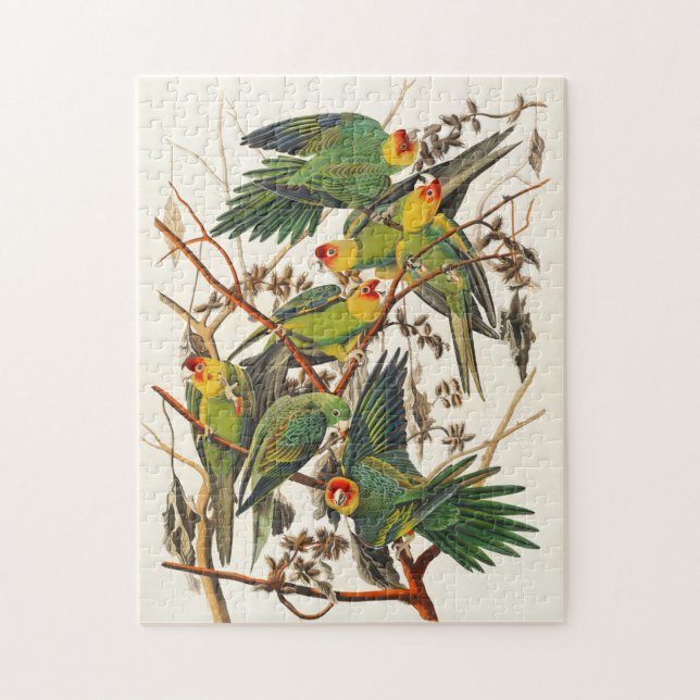 Vintage Parrots Illustration Bird Lover Gift Jigsaw Puzzle (Vertical)