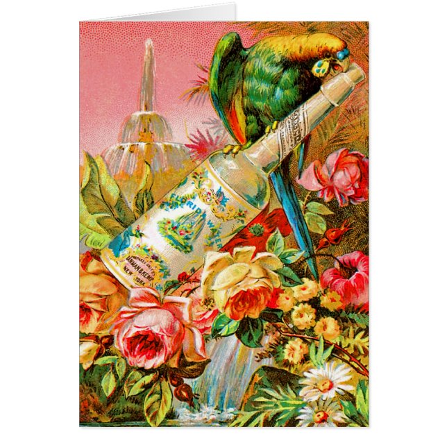 Vintage Parrott (Front)