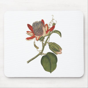 Vintage Passion Flower Mouse Mat