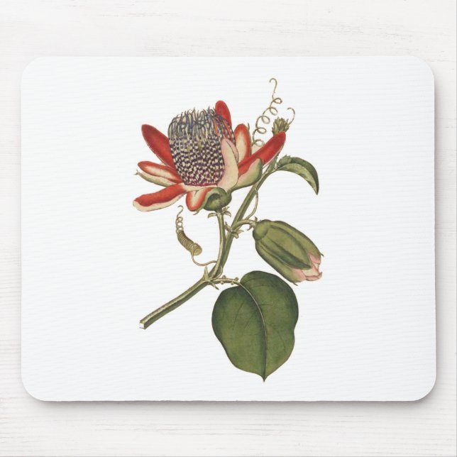 Vintage Passion Flower Mouse Mat (Front)