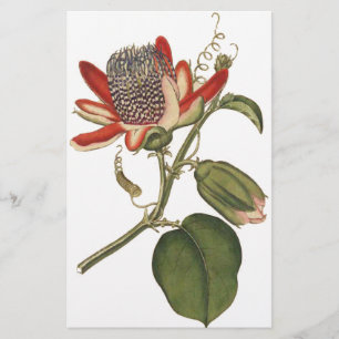 Vintage Passion Flower Stationery