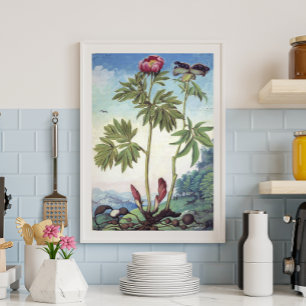 Vintage Pastel Watercolor Peony Illustration Poster