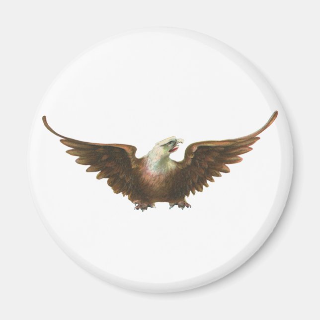 Vintage Patriotism American Bald Eagle Bird Flying Magnet (Front)