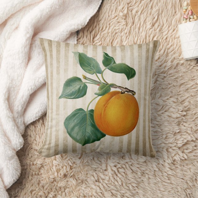 Vintage Peach Botanical Cushion (Blanket)