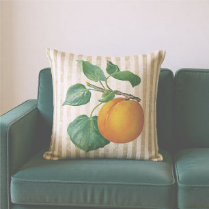 Vintage Peach Botanical Cushion