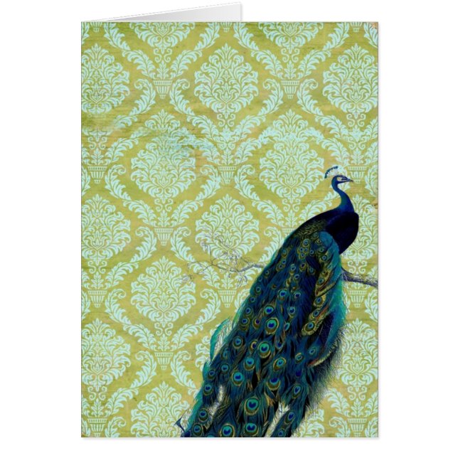 Vintage Peacock (Front)