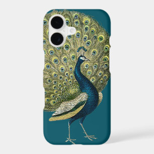 Vintage Peacock
