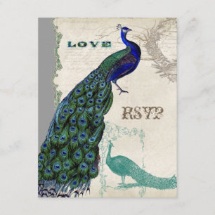 Vintage Peacock 5 - Formal Wedding Invitation