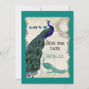 Vintage Peacock 5 - Save the Date