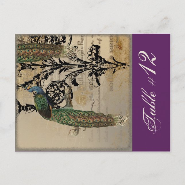 Vintage Peacock 6, Table Number Card (Front)