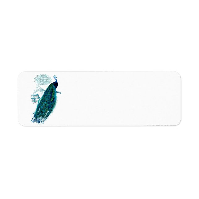 Vintage Peacock Address Labels (Front)