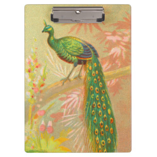 Vintage Peacock and flowers painting Clipboard