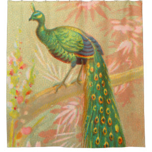 Vintage Peacock and flowers painting Shower Curtain