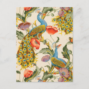 Vintage Peacock and poppies illustrations Postcard