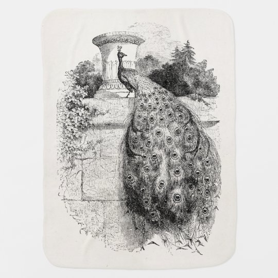 Vintage Peacock Bird Personalised Peafowl Birds Baby Blanket