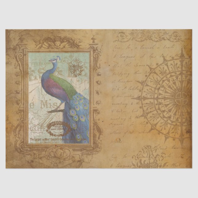 Vintage Peacock Brown Antique Paper  (Front)