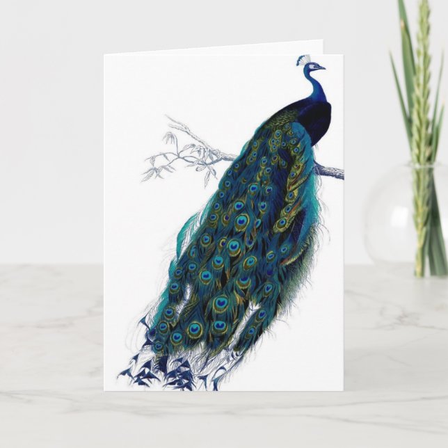 Vintage Peacock Card (Front)