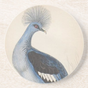 Vintage Peacock Coaster