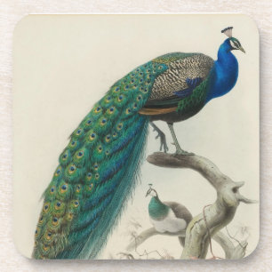 Vintage Peacock Coaster
