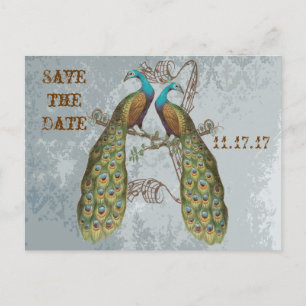 Vintage Peacock Damask Save the Date Announcement Postcard