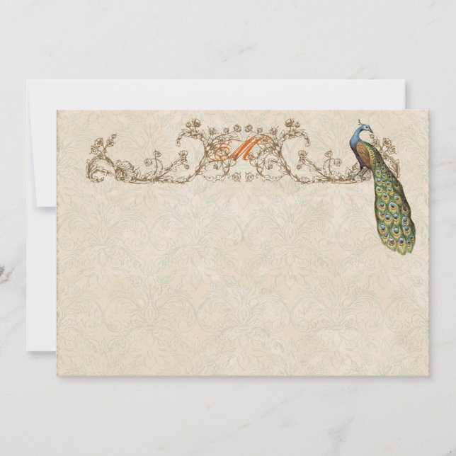 Vintage Peacock & Etchings Thank You Note Cards (Front)