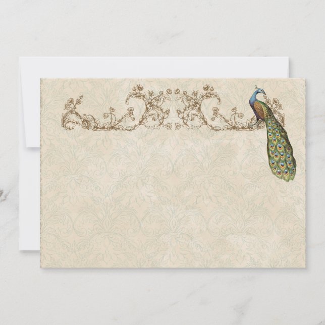 Vintage Peacock & Etchings Thank You Note Cards (Front)