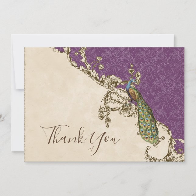 Vintage Peacock & Etchings Thank You Note Cards (Front)