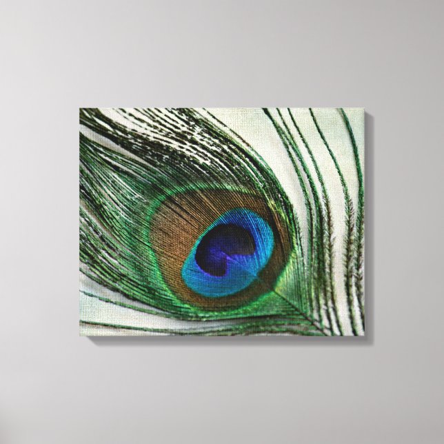 Vintage Peacock Feather Canvas Print (Front)