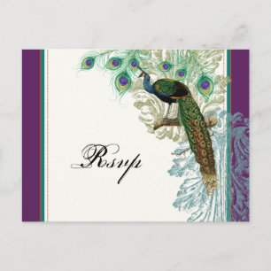 Vintage Peacock, Feathers - RSVP Response Postcard