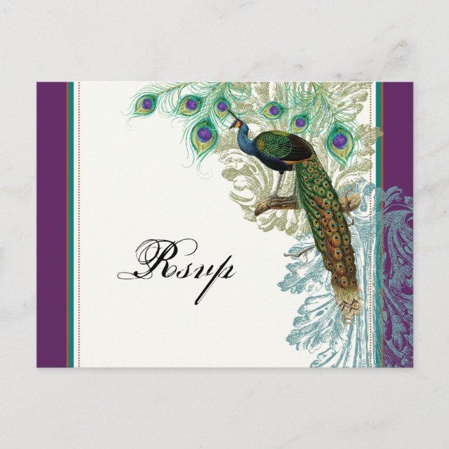 Vintage Peacock, Feathers - RSVP Response Postcard (Front)