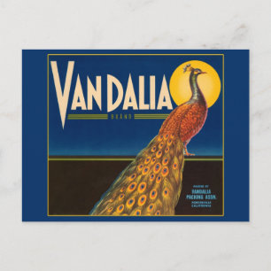 Vintage Peacock Fruit Crate Label Postcard