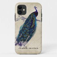 Vintage Peacock Full Feathers on Tattered Lace