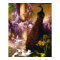 Vintage Peacock Garden Artwork | Romantic Wisteria