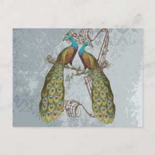 Vintage Peacock Grunge Damask on Silver Postcard