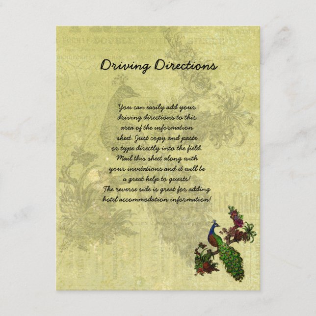 Vintage Peacock Informational Sheet Enclosure Card (Front)